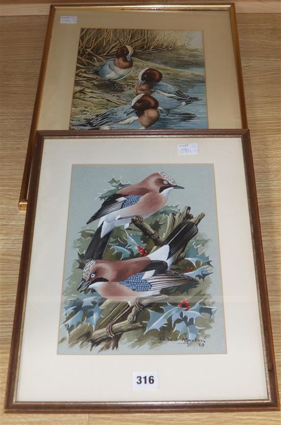 Robert Morton, two watercolours, Jays and Pintails, signed and dated 69/70, 31 x 23cm and 29 x 22cm